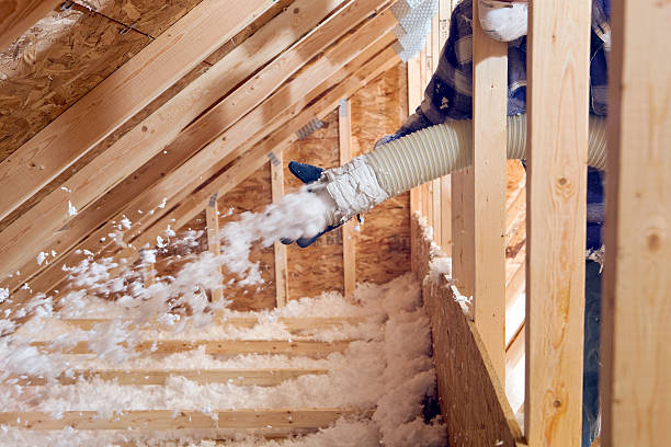 Best Radiant Barrier Insulation  in Waltham, MA